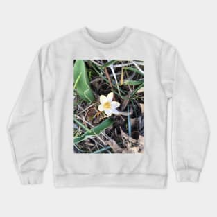 Pale Yellow Crocus Crewneck Sweatshirt